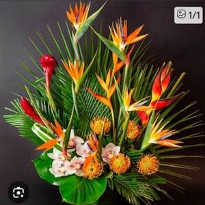 REBUNDLE @xoxonika $25